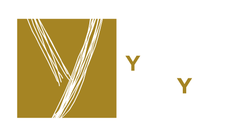 logo Les Yachts de Lyon